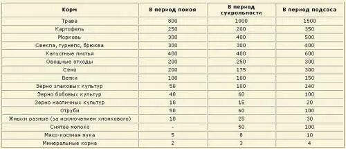 Какие овощи можно давать кроликам