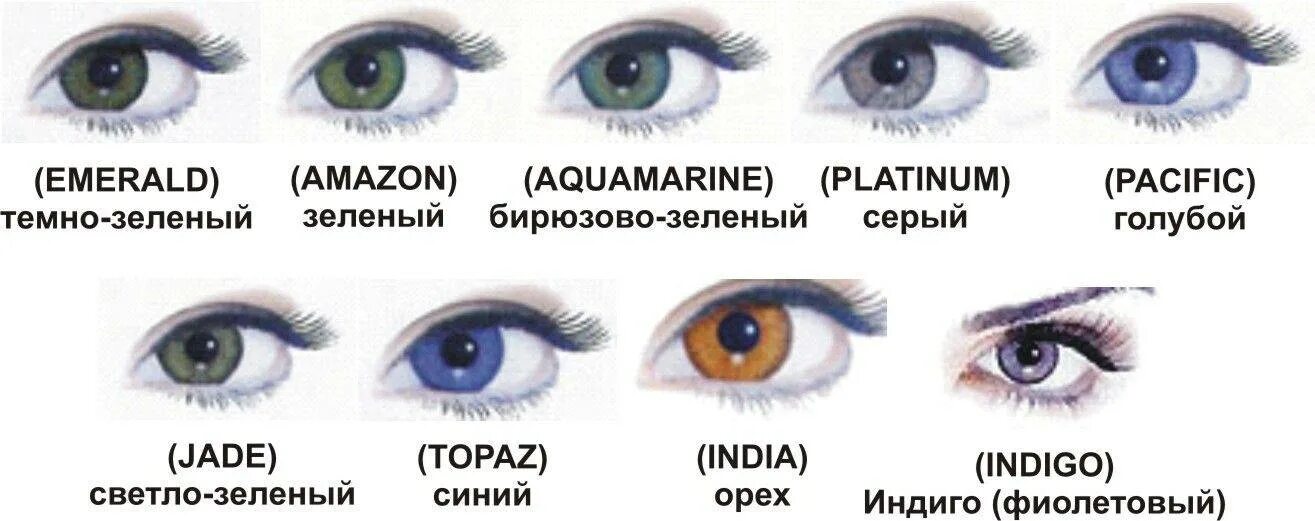 Зеленые глаза характеристика мужчины. Разновидности голубых глаз. Цвета глаз и их названия. Разновидности серых глаз. Типы цвета глаз.