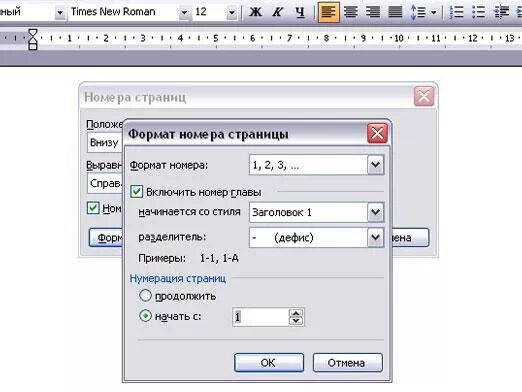 Шрифт times new roman в ворде. Формат номеров страниц в Word. Формат номера страницы в Ворде. Нумерация страниц в pdf. Пронумеровать страницы в иллюстраторе.