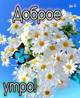 Доброе утро голубое небо