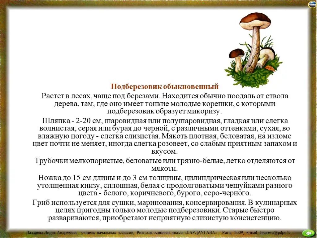 Информация про грибы. Подберезовик краткое описание для детей. Сообщение о грибе подберезовик кратко. Доклад про гриб подберезовик. Сообщение о грибах 3 класс окружающий мир подберезовик.