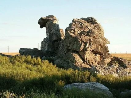 Какое животное напоминает в светлинском районе