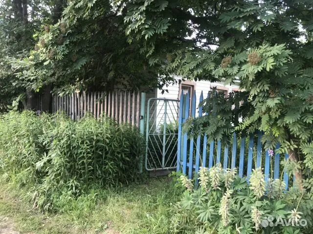 Первомайском районе ксм снт кедр. Дача в матвеевке новосибирск. Авито новосибирск в первомайске. Авито новосибирск в первомайске. Дача в новосибирске.