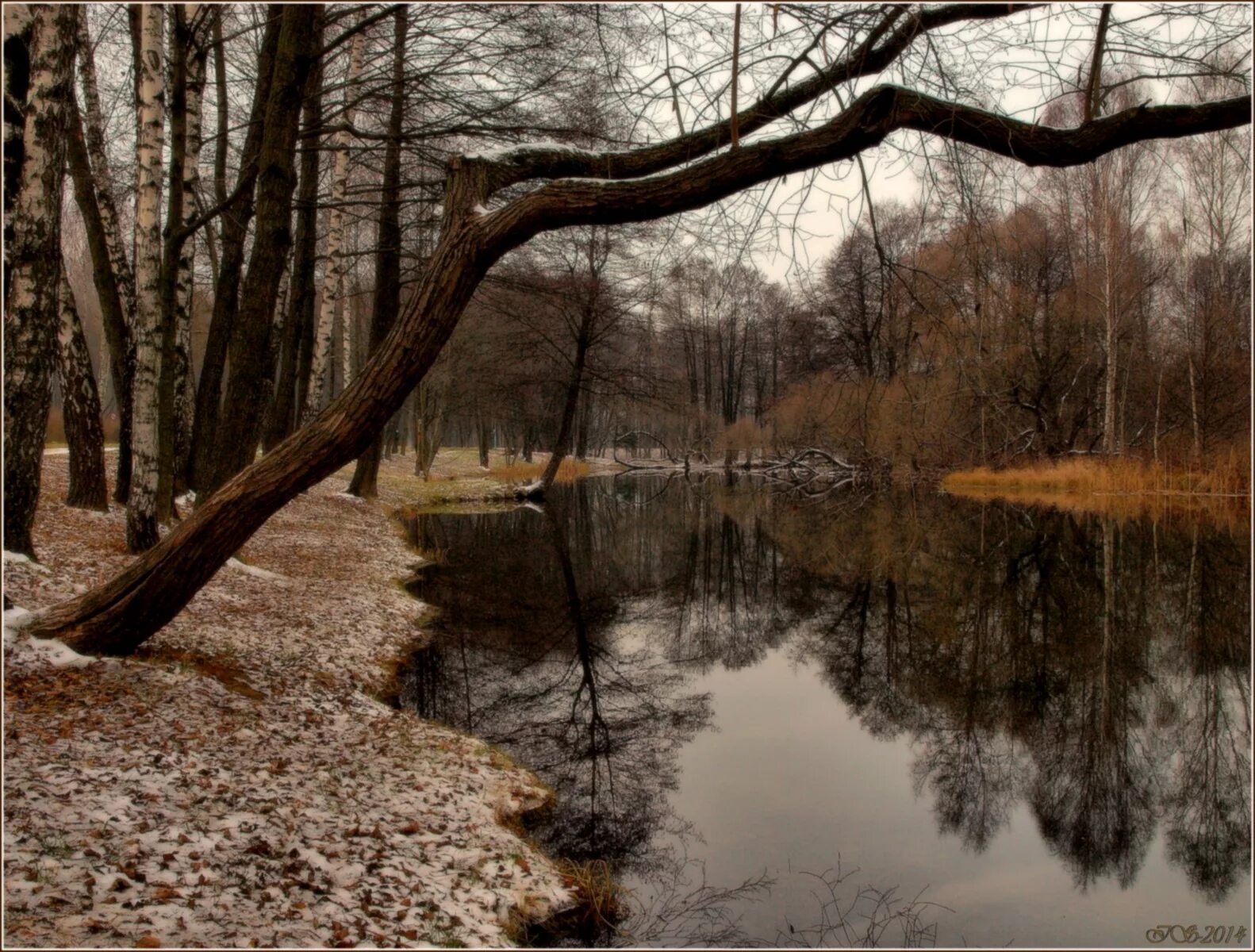 Поздняя осень фото