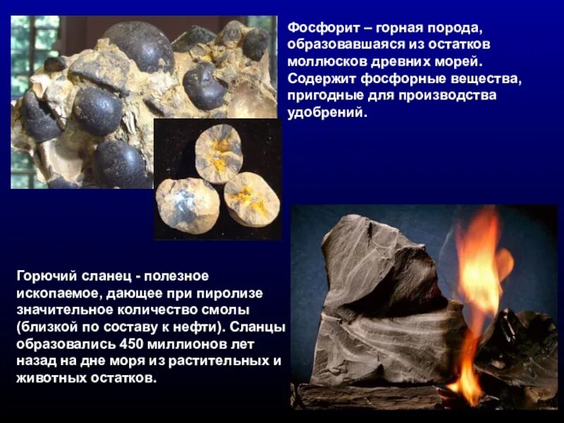 Какие полезные ископаемые добывают в санкт петербурге. Горючие сланцы это полезное ископаемое. полезные ископаемые ленинградской области. сланцы природные ископаемые. полезные ископаемые сланец.
