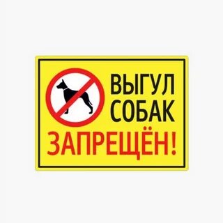 О запрете выгула