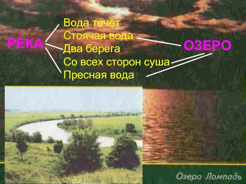 Стоячая вода. Стоячая вода где. Что значит стоячая вода. Проточные и стоячие воды 3 класс.