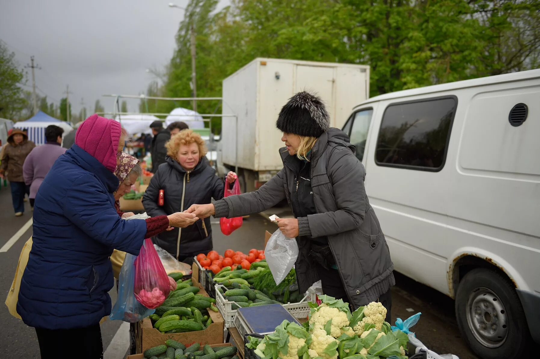 Школьная ярмарка новокузнецк. Ярмарка в школе. Школьная ярмарка когда начинается. Ярмарка в туле. Организаторов ярмарок.