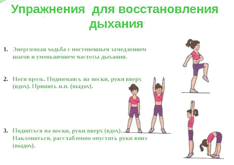 Программу зарядка. Комплекс гимнастических упражнений по физкультуре. упражнения для зарядки на физкультуре для детей. гимнастический комплекс упражнений для детей. зарядка комплекс упражнений для детей 10 лет.