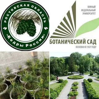 Ботанический сад саженцы