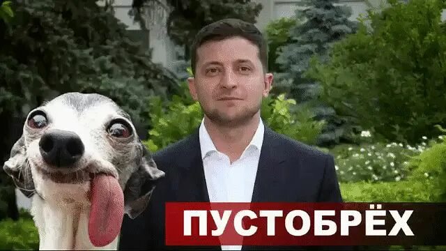 Победобесие карикатуры. Обещание карикатура. Пустобрех карикатура. Журналист карикатура. Пустобрех.