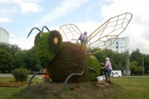 Пчела самара