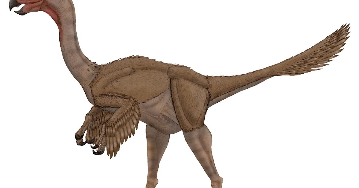 Овираптор арк. Gigantoraptor erlianensis. Гигантораптор динозавр. Гигантораптор Carnivores. Гигантораптор АРК.