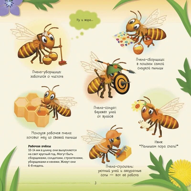 Отношения между крапивницей и домашней пчелой. Пчела для детей. Детям о пчелах для дошкольников. Пчелиная семья для дошкольников. Пчела информация для детей дошкольного возраста.