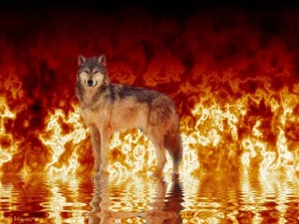 Fire is very