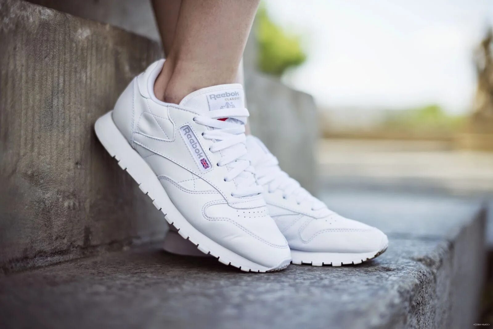 Кроссовки reebok classic женские