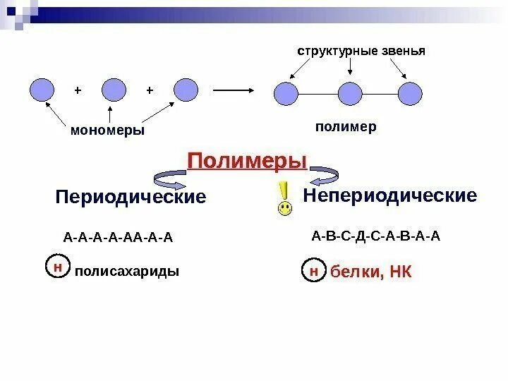 Мономеры полимеры биополимеры. Полимеры и мономеры таблица биология. Схема строения полимера. Периодические и непериодические полимеры. Биополимеры липидов