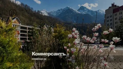 Туры в сочи на 2025 год