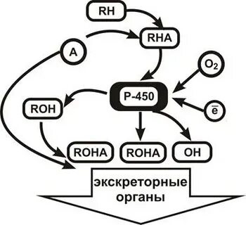 Токсичи