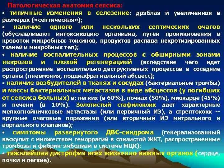 Изменения селезенки. Классификация сепсиса патанатомия. Сепсис патологическая анатомия. Септическая селезенка патологическая анатомия. Морфология сепсиса патанатомия.