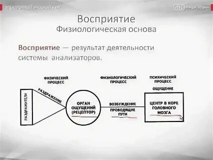Теория интерфейсного восприятия