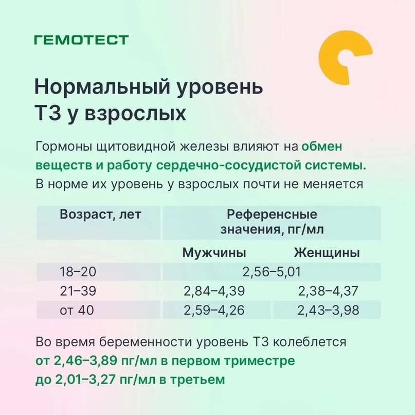 Т3 и т4 гормоны щитовидной железы. Расшифровка анализа крови на гормоны щитовидной железы у женщин. Анализ т 3 щитовидная железа. Расшифровка анализа т3 и т4 у женщин. Расшифровка анализов на щитовидную железу у женщин