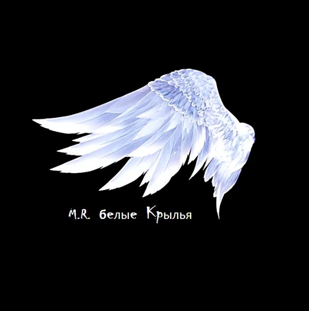 Родные крылья песня. Родные крылья песня