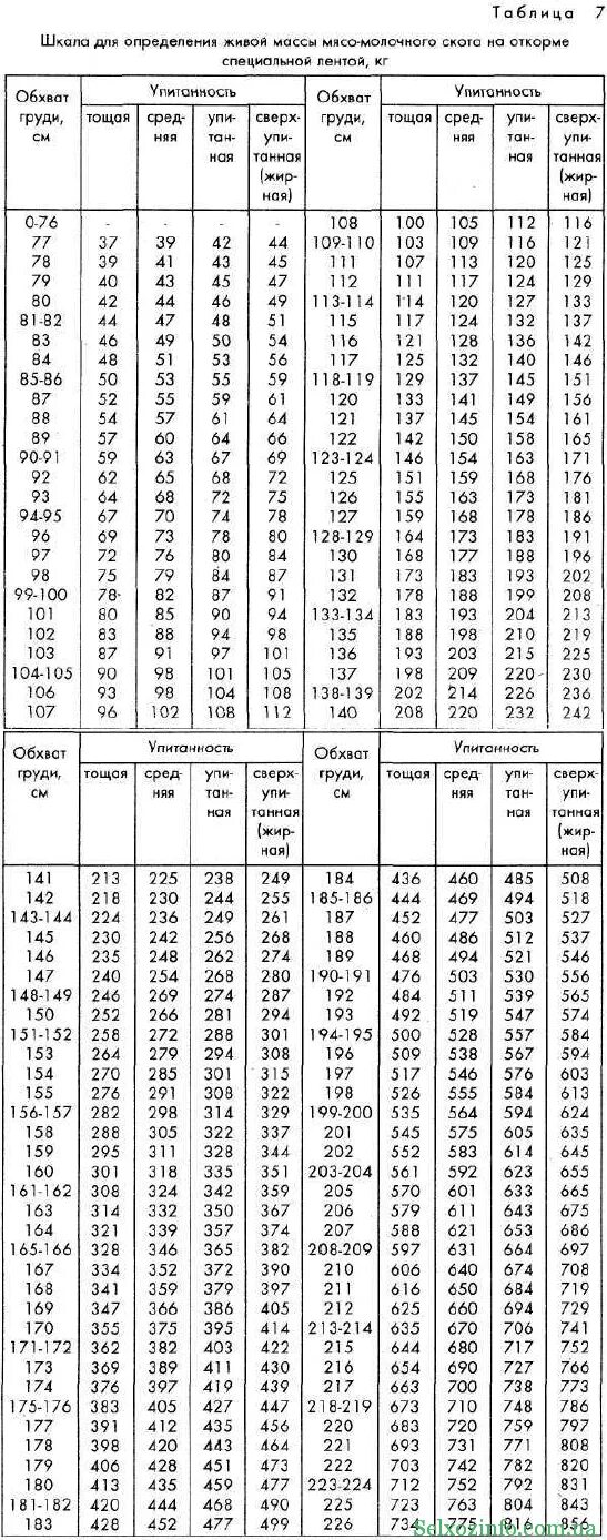 Таблица КРС Быков живым весом. Таблица измерения веса коровы. Таблица обмера телят для определения веса. Таблица измерения живого веса коровы. Таблица быков живой