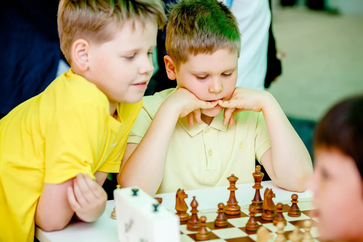Шахматы в детском саду. Кружок шахматы. Программа шахматы детям. Кружок шахматы в школе. Детские шахматы.