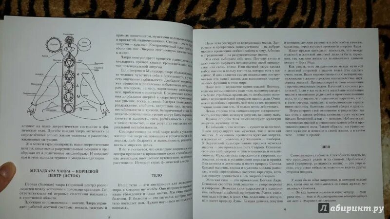 Синельников преображения читать. Синельников мандалы. синельников мандалы здоровья. муладхара синельников. синельников аджна мандала.
