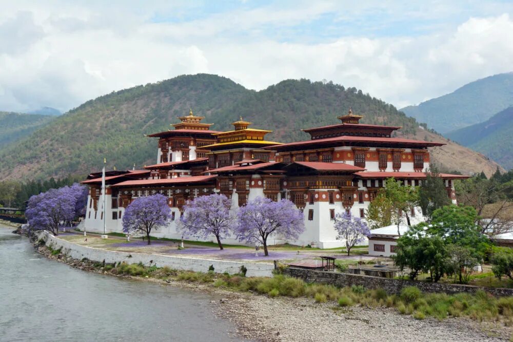 Крепость-монастырь Пунакха-дзонг. Монастырь Пунакха-дзонг (бутан). Крепость монастырь Пунакха-дзонг бутан. Монастырь Гангтей-Гомпа.