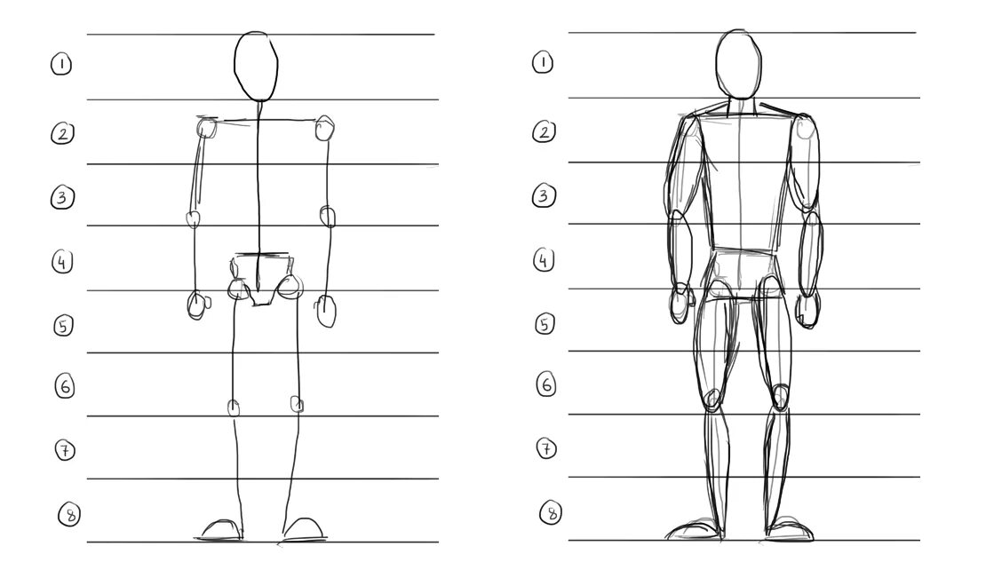 Схема пропорций фигуры человека. Как нарисовать тело человека пропорции. Рисуем тело человека пропорции. Рисунок пропорции и строение фигуры человека. Рисовать человека живет