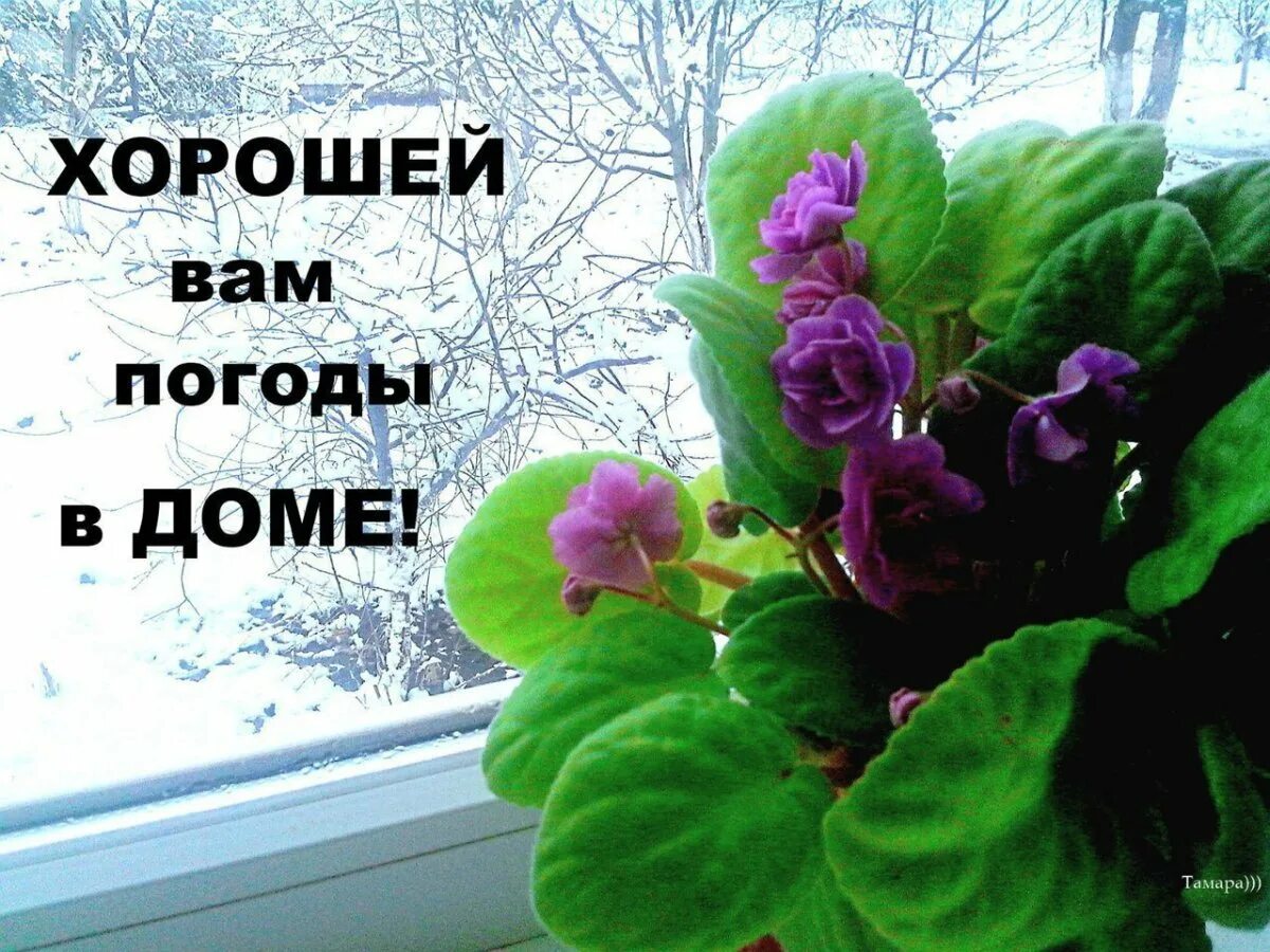 Сдобрым долждивым утром. Хорошей вам погоды. Открытка хорошей погоды и настроения. Открытки с пожеланием хорошей погоды. Хорошей погоды вам.