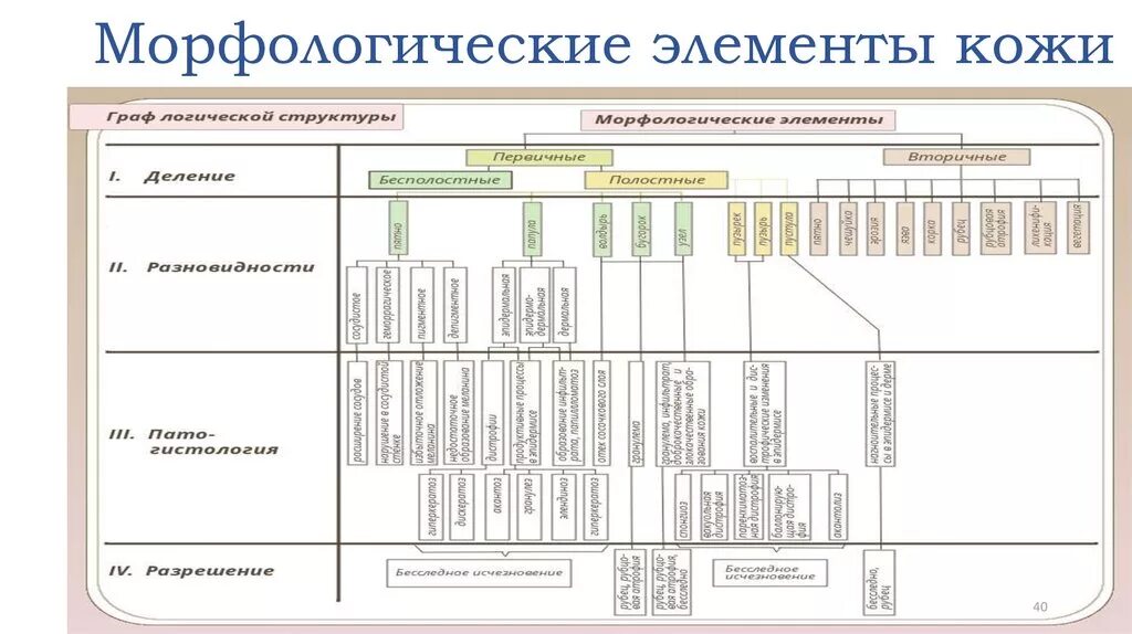 Вторичные элементы. Первичные и вторичные морфологические элементы кожи. вторичные морфологические элементы кожи таблица. первичные морфологические элементы кожи классификация. морфологические элементы кожи дерматовенерология.