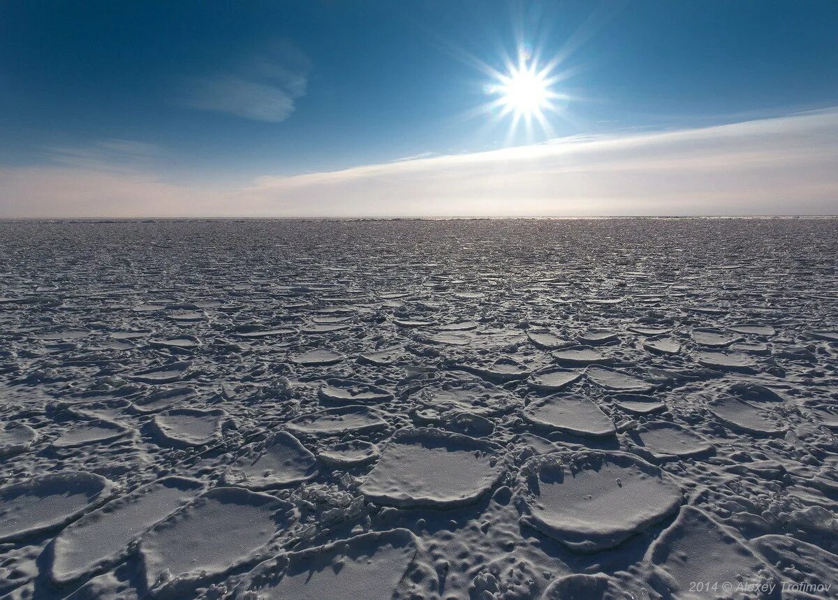 Ледовый россия. Арктика тундра Ледяная пустыня Гренландия. Блинчатый лед Байкала. Колобовник лед. Колобовник на Байкале.