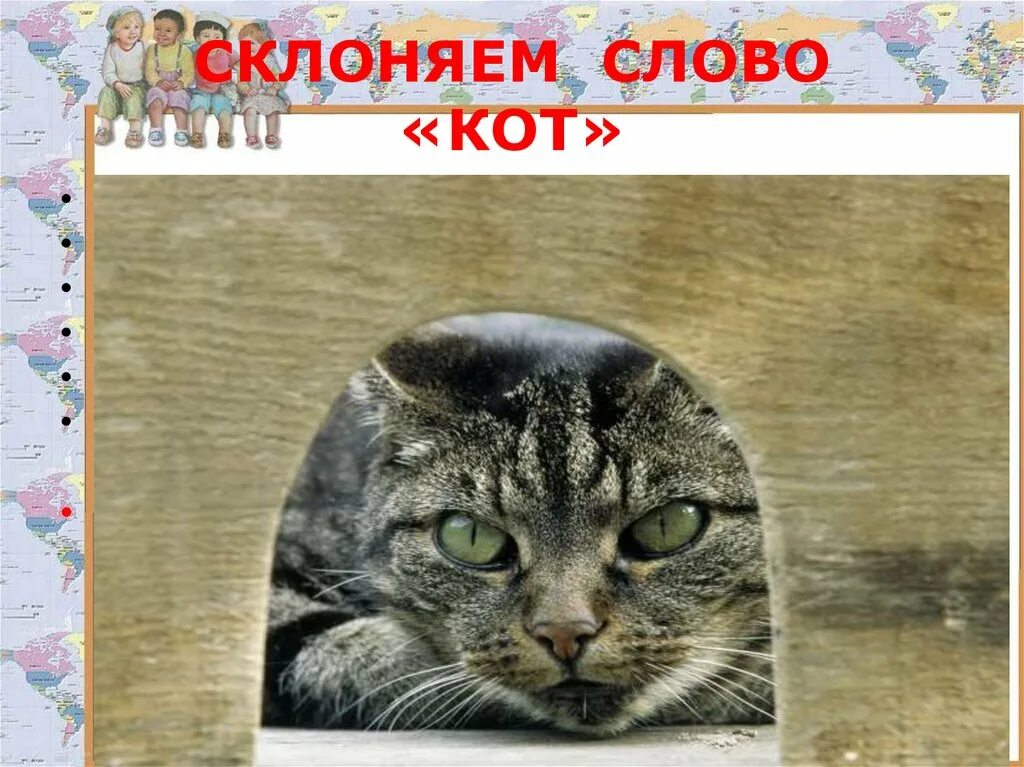 Формы слов кошка. Слово кот. Слова про котов. Картинка слова кот. Текст про кота.