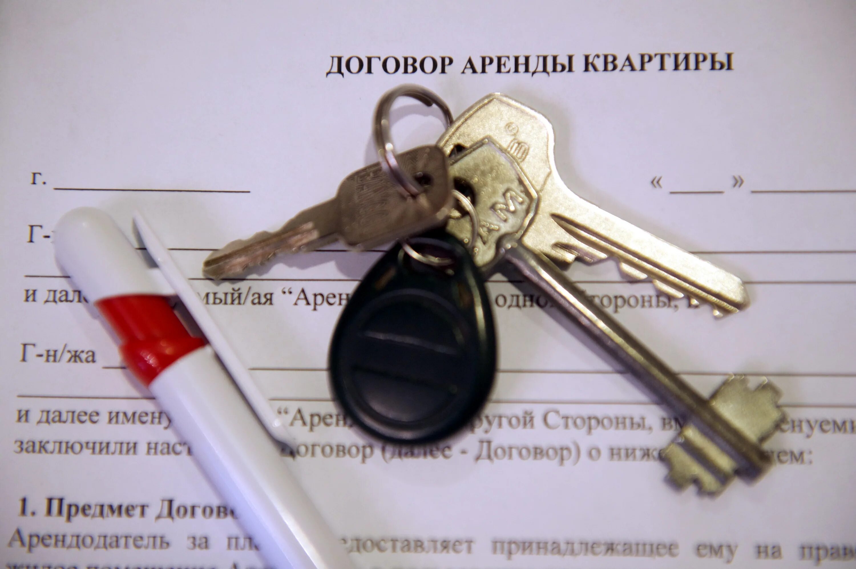 Аренда жилья фото. Визитка посуточных квартир. Квартира не сдана в наем. Найм квартиры. Съемная квартира.