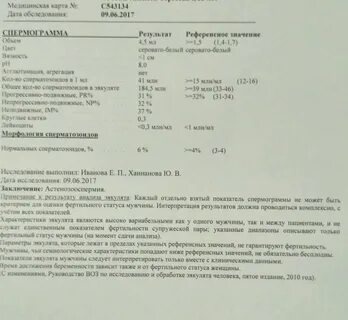 Эко заключение