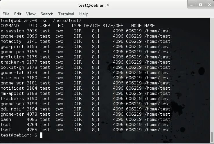 Lsof linux. Lsof linux