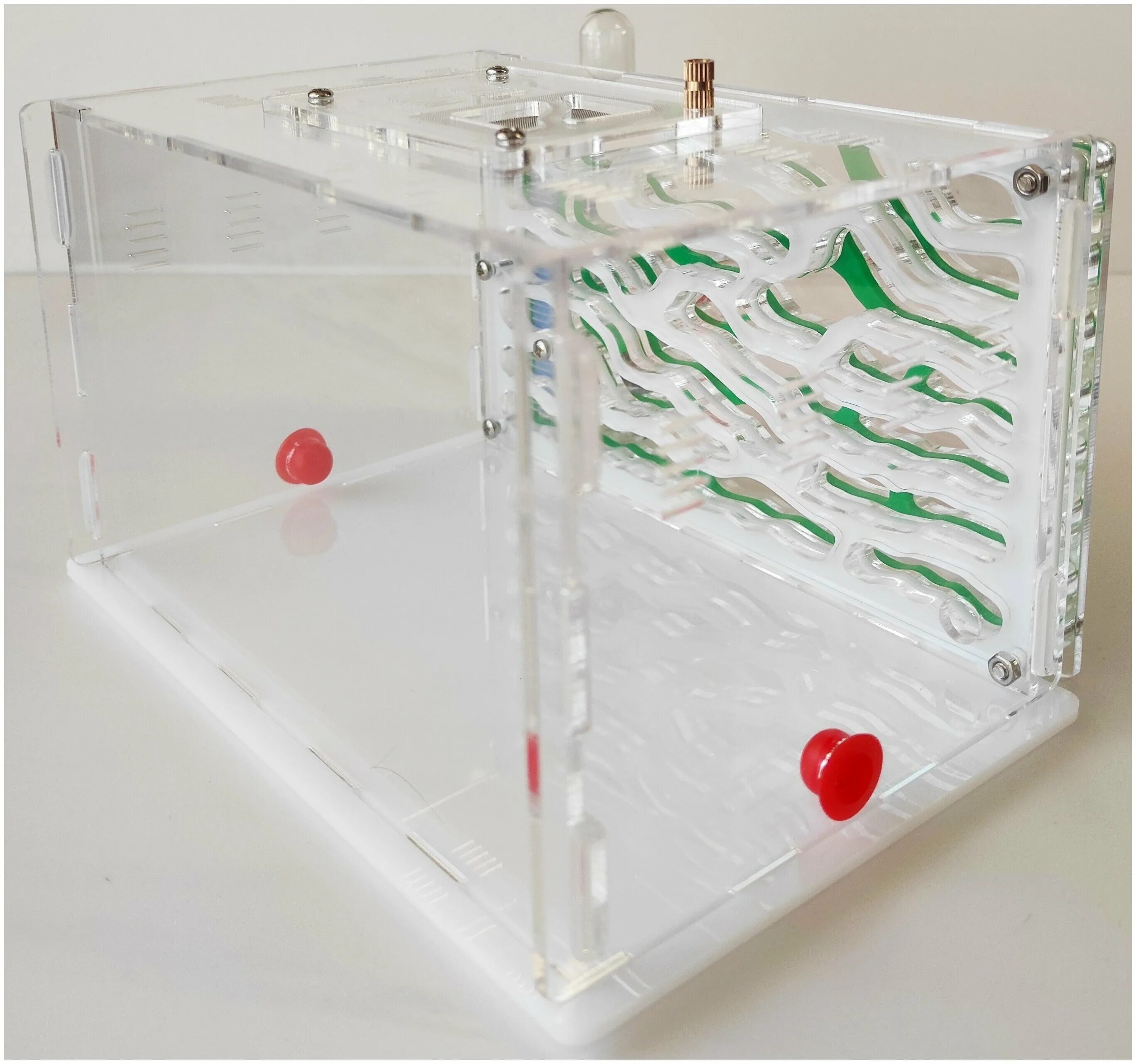 Померин хаус муравьиная ферма май антс. Муравьиная ферма топ антс фото. Ant city. Муравьиная ферма messor structor large. Буклет муравьиная ферма.