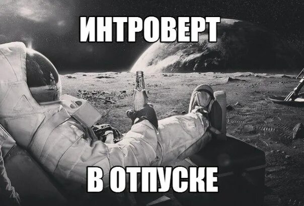 Высказывания про интровертов. Полкило конфеток тишина и кот. Интроверт картина. Фразы об интровертах смешные. Афоризмы про интровертов.