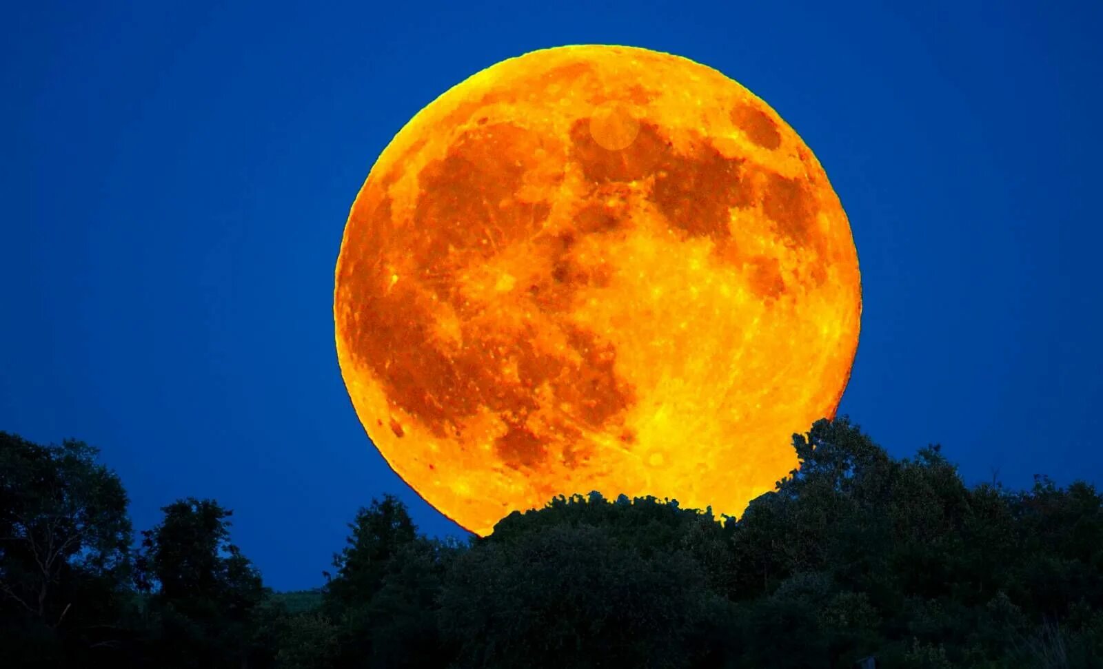 Огромная Луна. Желтая Луна. Оранжевая Луна. Солнце. Луна в ростове