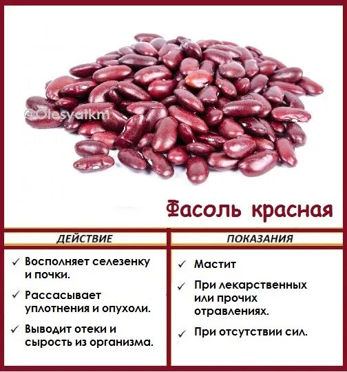 Чем полезна фасоль. Полезные вещества в фасоли. Чем полезна фасоль для организма. Разновидности фасоли.