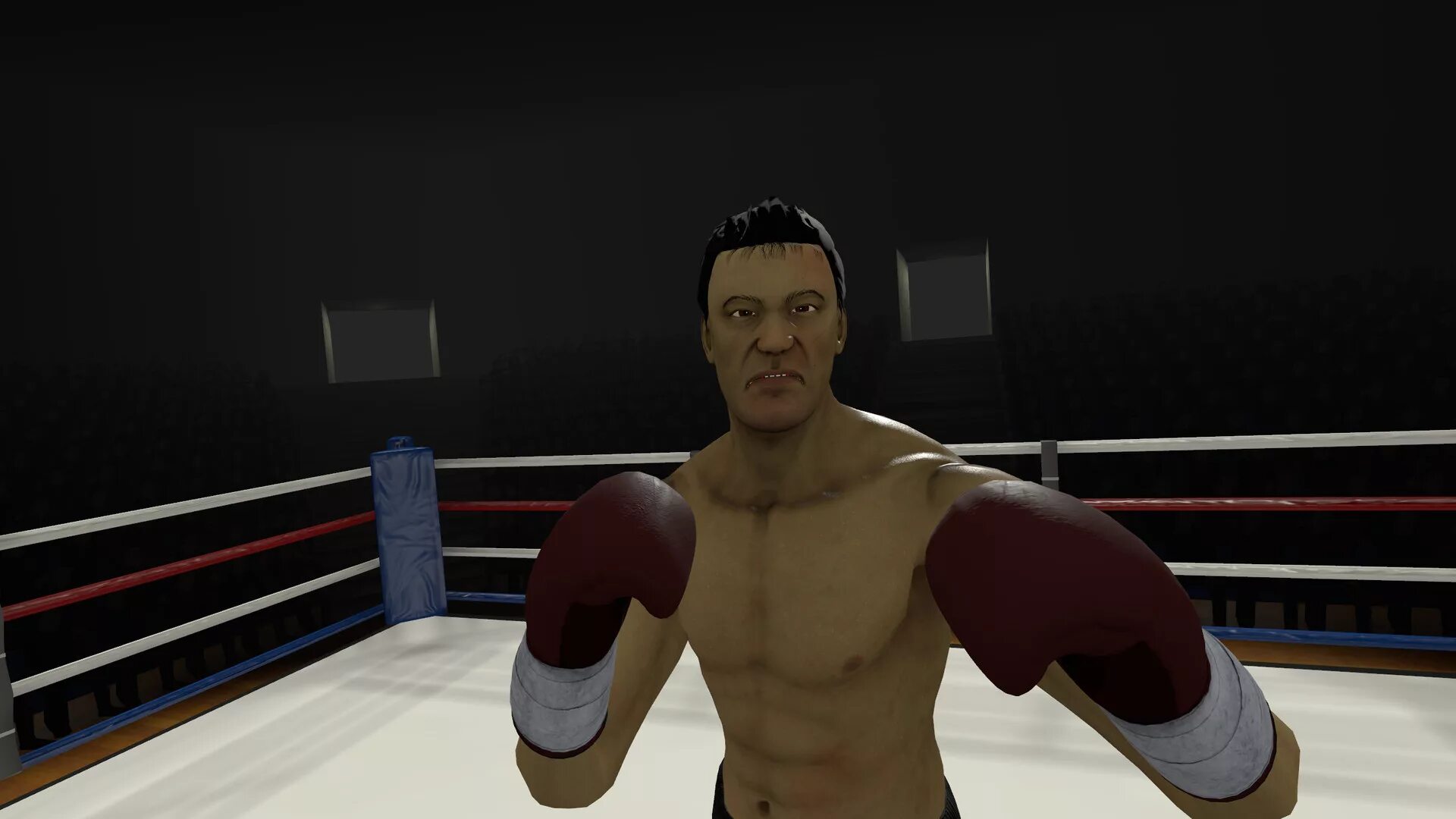 The Thrill of the Fight VR. Симулятор боксера. Игра бокс от первого лица. Сент бокс игра.