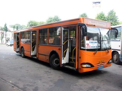 Автобус шаля