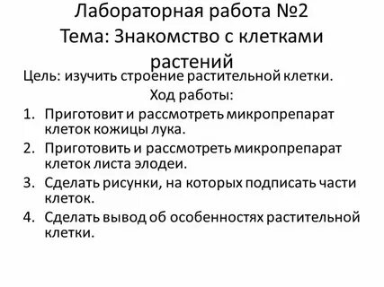 Лабораторная работа по биологии строение клетки вывод