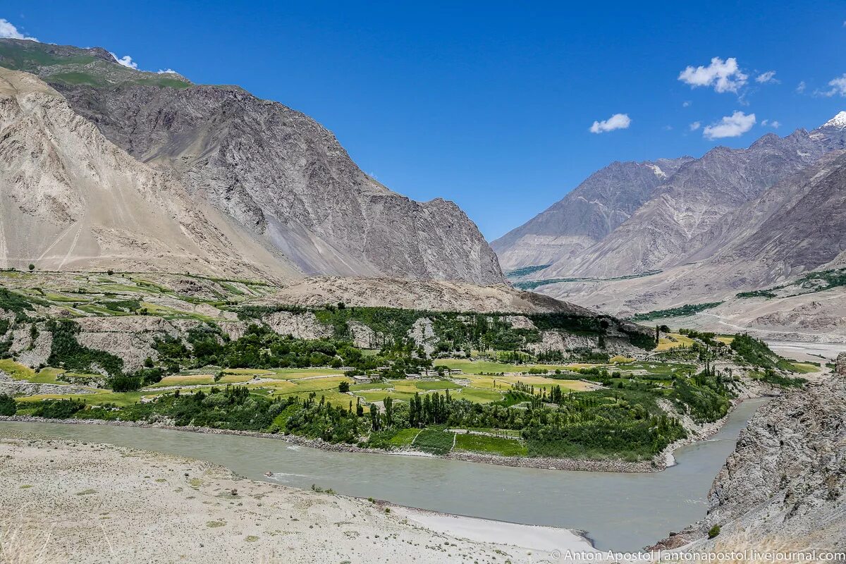 синоптик в пянж