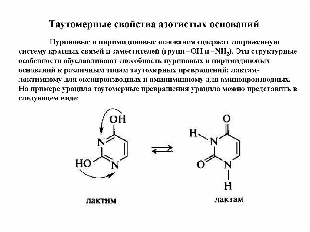 Азотистое основание аденин. Структура азотистых оснований. Азотистые основания свойства. Азотистые основания свойства. Нуклеиновые кислоты аденин.