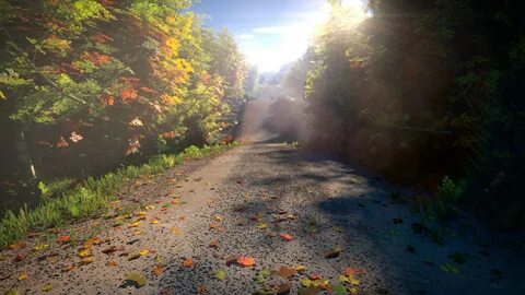 Fallen road