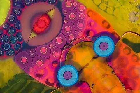 Colorful 15